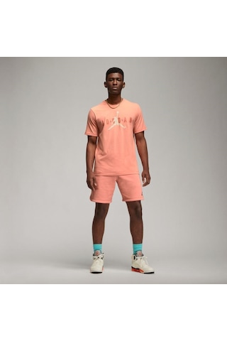 Nike Jordan Air Wordmark Erkek T-Shirt