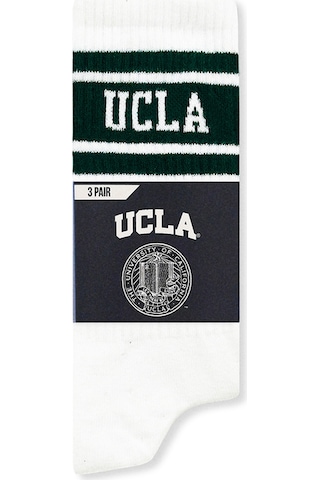 Ucla Calzada 3'lü Beyaz Uzun Jakarlı Pamuk Standard Fit Unisex Çorap