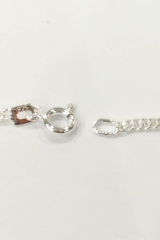 Silver Unisex Gurmet 1,9 Mm Gümüş Kolye Zincir