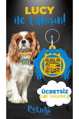 Petjoo 11.Lucy Mavi-Sarı Qr'lı Köpek Künyesi