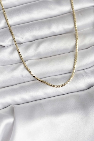 14k Gold Renk Kaplama Ezme Zincir Model Cm Kadın Kolye Çok Renkli