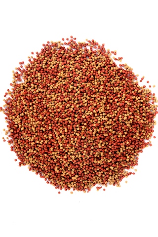 Lotus Topçuk Poşet Japon Balık Yemi 860 G