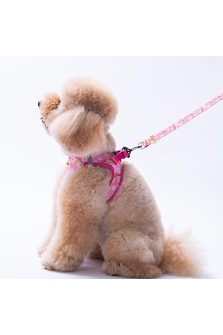 Daisy Leash Papatya Desenli Kedi Köpek Sevk & Gezdirme Kayışı Köpek Uzatma Tasması Pembe