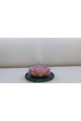 Lotus Pembe Mumuluk Pembe-yeşil