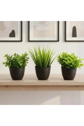 3'lü Mini Yapay Sukulent Seti, 8 Cm Saksı İle 20beyazcipso