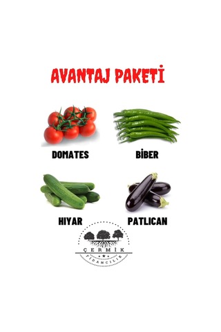Tohum Paketi Domates , Carliston Biber, Hıyar ,patlıcan, 40 Gr