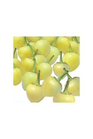 Eko Paket Biberiye Biber Tohumu Fındık Biber Tohumu Misket Biber Tohumu 150 Adet Tohum