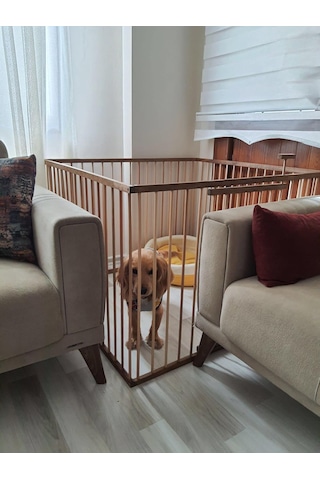 1 M2-70 Cm Yükseklik Ahşap Köpek Çiti Kapılı