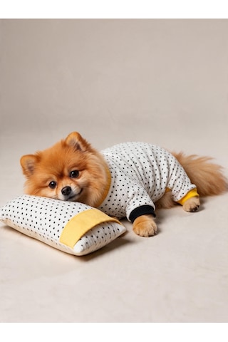 Spotty Sunny Minny Köpek Uyku Seti Siyah Beyaz Puantiyeli Penye Köpek Tulumu Ve Mini Yastık