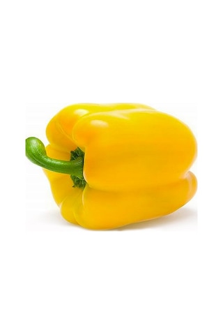 10+ Adet Sarı Renkli Tatlı Kaliforniya Dolmalık Biber Tohumu