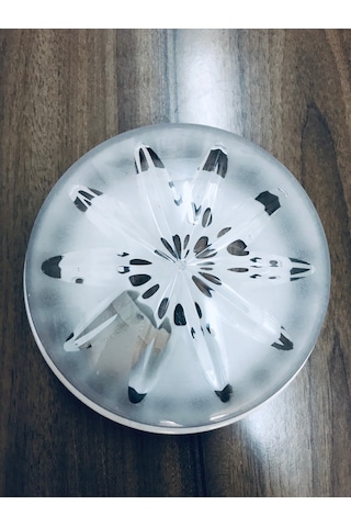 Tavan Glop Armatür E27 Duy Tavan Aplik 23Cm. Şeffaf