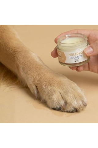%100 Doğal Köpek Pati Ve Burun Balmı Lavanta Kokulu Yoğun Nem & Onarıcı Bakım Bakanlık Onaylı