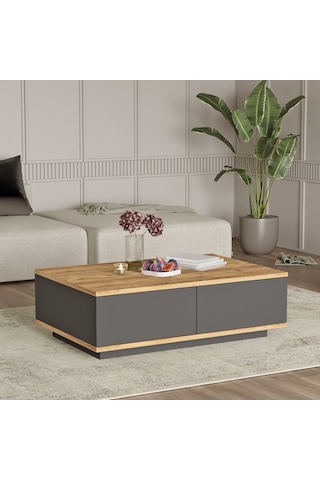 Robin Home Loft Orta Sehpa 2 Kapaklı Çam-antrasit
