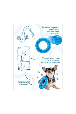 Elitedog Köpekler İçin Soğutucu Oyuncak Kauçuk, 13.4x13.4x3cm 226762091