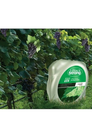 Black Strong Fulvigen Bitkisel Menşeili Sıvı Organik Gübre 20 L