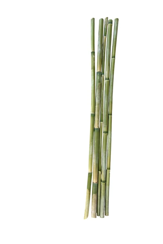 5 Adet 100 Cm Bambu Bitki Destek Çubuğu - Doğal - Kalın Ve Dayanıklı