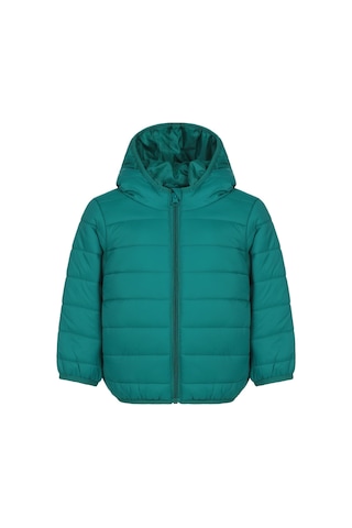 Civil Boys Ray Desenli Parlak 2-5 Yaş Mont - Yeşil Benetton
