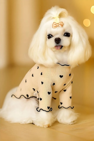 Best Golden Monkey Köpek Elbisesi "makaronka" 387080061