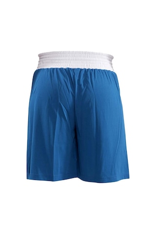 Dragondostore Dragon 14010 Boks Şortu