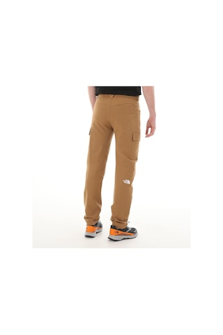 The North Face F0a824c1731-r M Horızon Pant - Eu Erkek Pantolon Kahvrengi