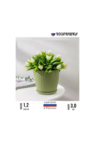 Petrostil' Rotaang Çiçek Saksı Seti 248961993