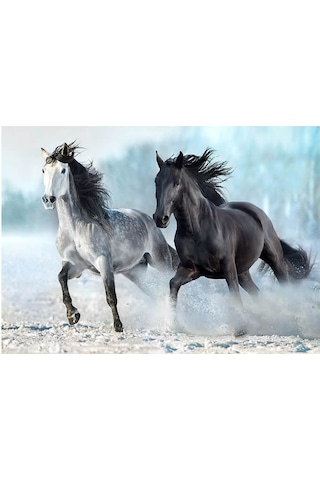 Blue Focus 1000 Parça Puzzle Horses Atlar