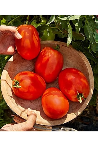İtalyan Rio GRande Domates Tohumu