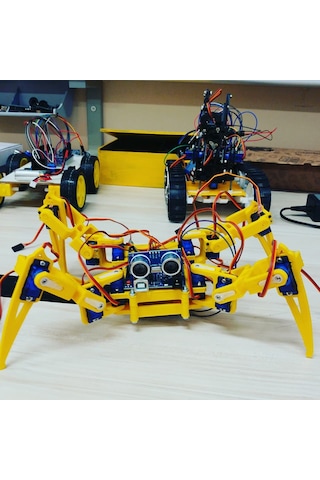 Örümcek Robot 12 Sg90 Siyah