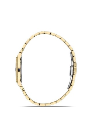 Momentus Cs346g-08sg Kadın Kol Saati Gold
