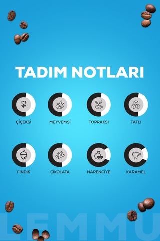 Addis Ababa Coffee Lemmu Blend Kahve Filtre Kahve 1 KG