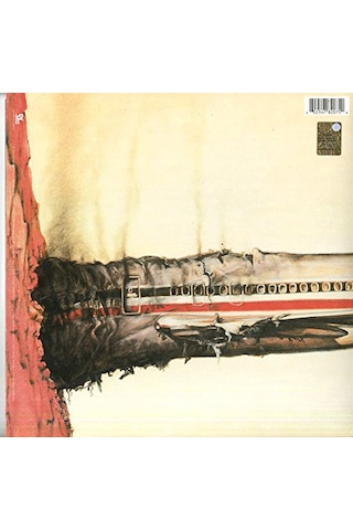 Beastie Boys - Licensed To Ill 30th. Anniversary /plak