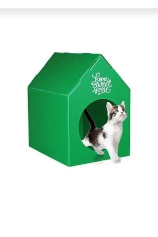 Kedi Evi Kulübesi Yuvası