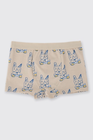 Panço Erkek Çocuk 3'lü Boxer Seti Renkli