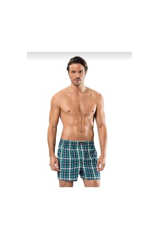 Erdem 1440 Erkek Desenli Poplin Boxer 3 Adet Çok renkli