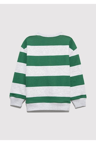 Mavi - Çizgili Baskılı Yeşil Sweatshirt 6s10170-71697 Yeşil
