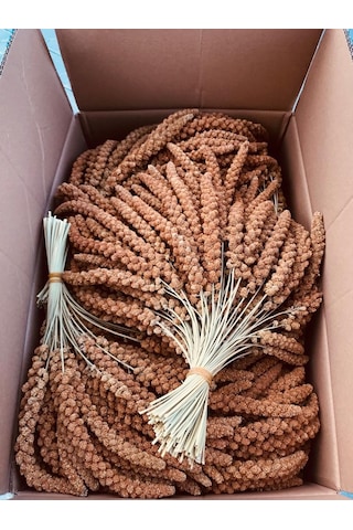 Murtcu Kızıl Dal Darı Protein Deposu Organik Kuş Yemi 1 Kg