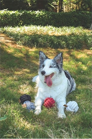 M-pets Coto Red Ball Örgü Top Köpek Oyuncağı 9,5 Cm 244-50007.01