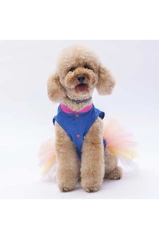 Pawstar Ice Cream Kedi Köpek Elbisesi Kedi Köpek Kıyafeti