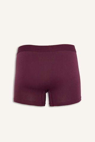 Defacto - Regular Fıt 3'lü Boxer E0023AX24WN Mor
