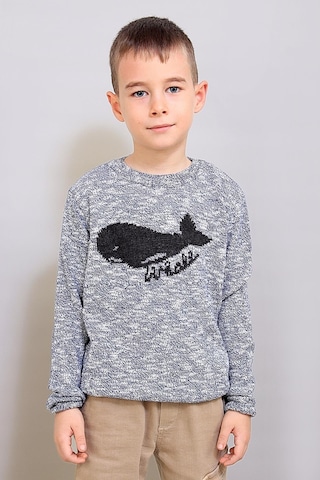 Alexandergardı Çocuk Desenli Triko Kazak C19-ag50384 001