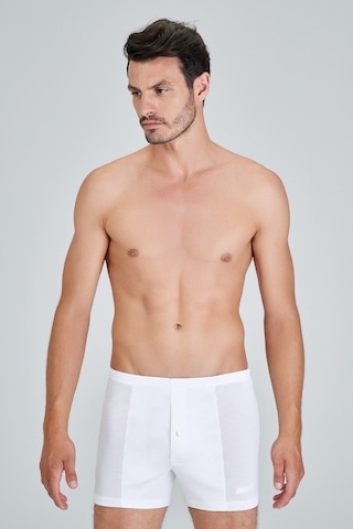 Pierre Cardin Kom Elite Merserize Şort Boxer Beyaz