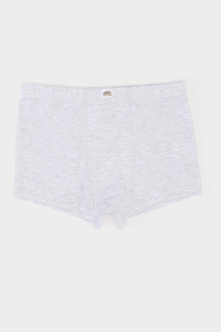 Defacto Erkek Çocuk Desenli 3lü Boxer E6873a825spwt34 Beyaz