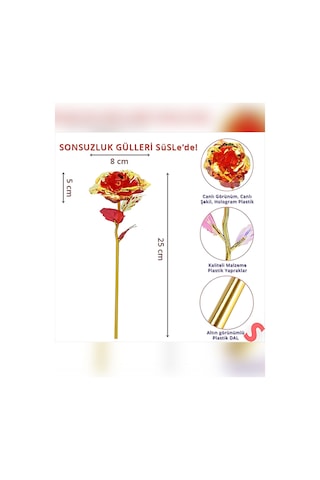 Sonsuzluk Gülü Hediyelik Gül Ev Dekor Sevgiliye Hediye Anneler Günü Hediyesi Solmayan Gül Kırmızı