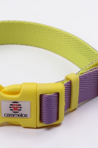 Caramelos Orta Ve Büyük Irk Ayarlanabilir Köpek Boyun Tasması Ls
