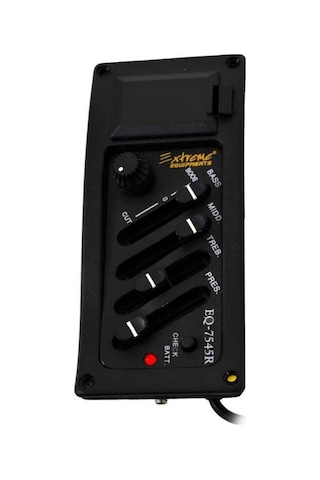 Manuel Raymond Eq7545 Ekolayzer/Eşik Altı Manyetik