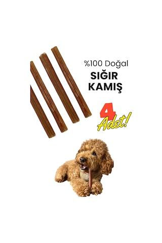 Havhav 4 Adet Sığır Kamış Çiğneme Çubuğu Köpek Ödülü