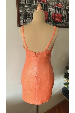 Chica Rosa Fashion Somon Pullu Mini Elbise