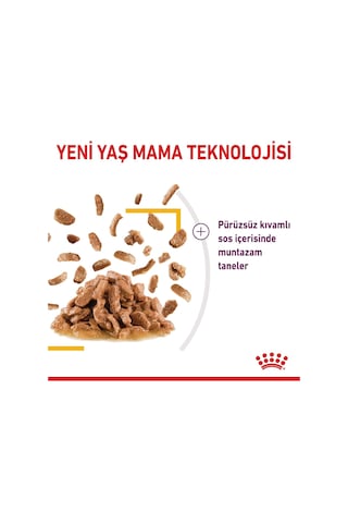 Sensory Tat Duyusu İçin Sos İçerisinde Yaş Kedi Maması 12 X 85g