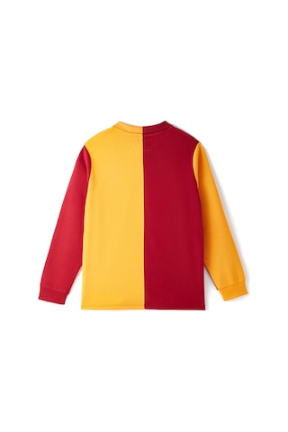 5tate Of Mınd Galatasaray 1925 Retro Forma E251158 Açık Bordo