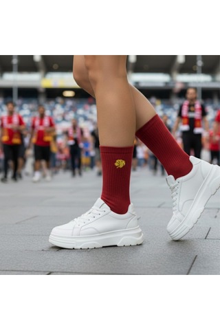 Taraftar 6 Çift Kutulu Sarı Kırmızı Aslan Nakışlı Casual Yazlık Kışlık Unisex Soket Tenis Çorap Çok Renkli